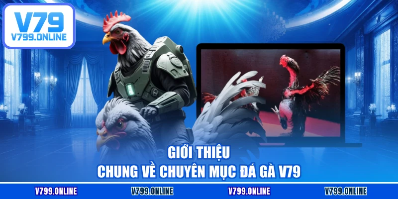 Giới thiệu chung về chuyên mục đá gà V79