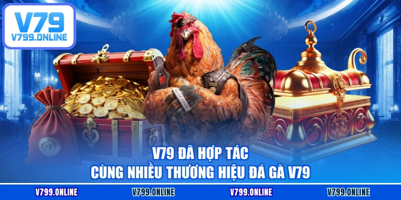 V79 đã hợp tác cùng nhiều thương hiệu đá gà V79